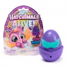 Hatchimals Neon Rainbow pojedinačno pakiranje