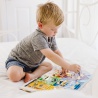 Melissa & Doug osnovna edukacija boje i brojevi