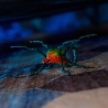 Hex Bots Skitter Bot puzajući škorpion