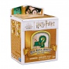 Harry Potter mini figura u okviru - iznenađenje