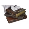Hari Poter Hedviga puzzle na stalku 3D
