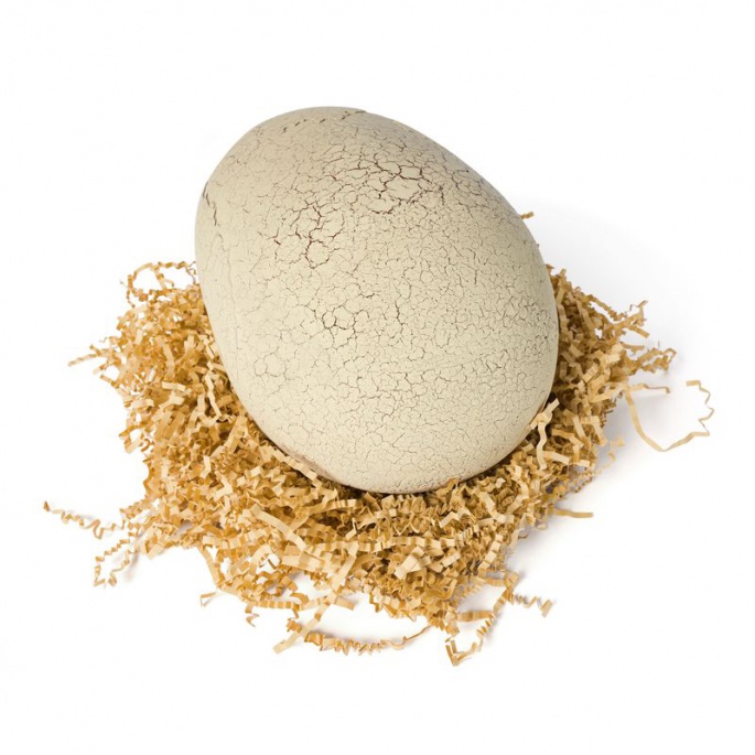 Prisvärt set: Dino interaktiv T-rex som kläcks från ägg + Bitzee Jurassic World med dinosaurier