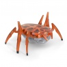Hex Bots lezoucí Skarabeus oranžový