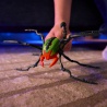 Hex Bots Skitter Bot lezoucí škorpion