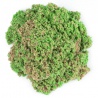 Kinetic Sand morska školjka zelena