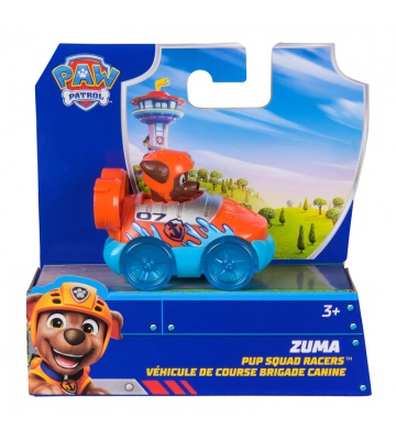 Paw Patrol kleines Fahrzeug Pup Squad Zuma