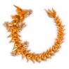 CrystaLynx Dragons dragones flexibles en huevo
